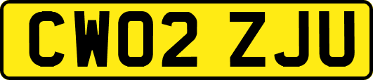 CW02ZJU