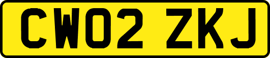 CW02ZKJ