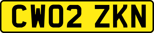 CW02ZKN