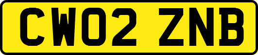 CW02ZNB