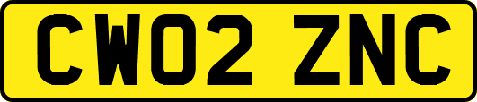 CW02ZNC