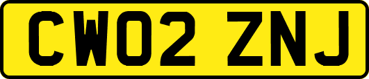 CW02ZNJ