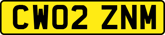 CW02ZNM