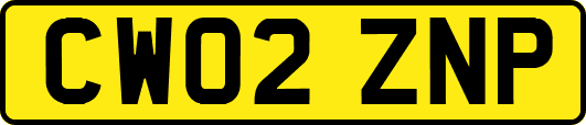 CW02ZNP