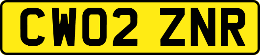 CW02ZNR