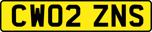 CW02ZNS