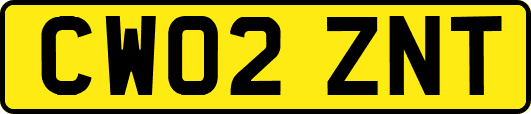 CW02ZNT