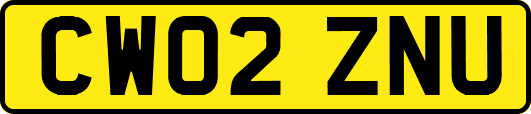 CW02ZNU