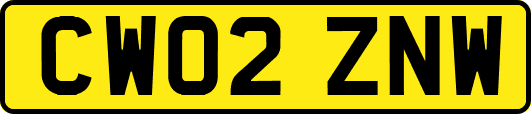 CW02ZNW