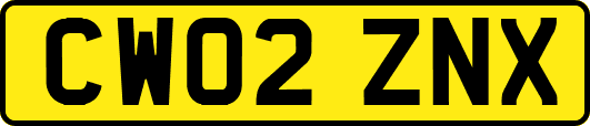 CW02ZNX