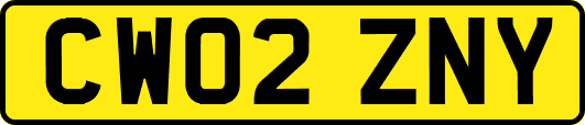 CW02ZNY