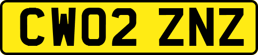 CW02ZNZ