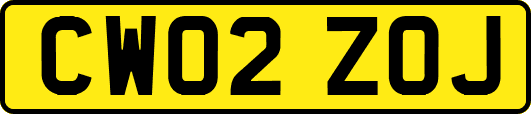 CW02ZOJ