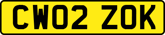 CW02ZOK