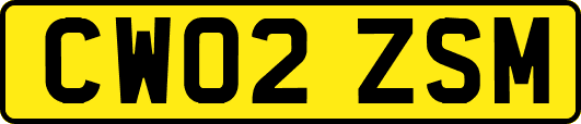 CW02ZSM