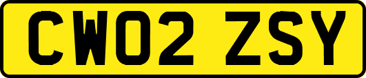 CW02ZSY