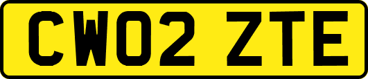 CW02ZTE
