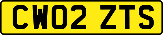 CW02ZTS