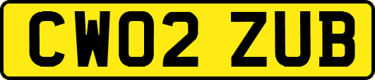 CW02ZUB