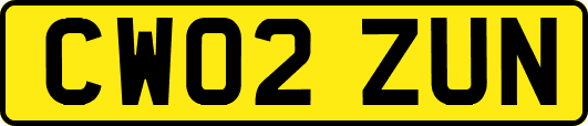 CW02ZUN