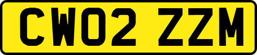 CW02ZZM