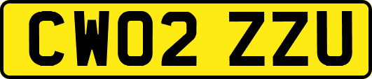CW02ZZU