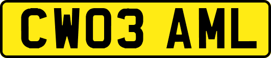 CW03AML