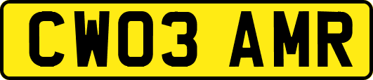 CW03AMR