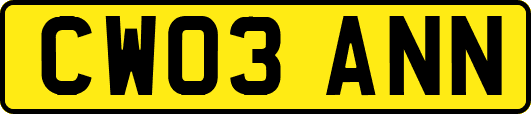 CW03ANN