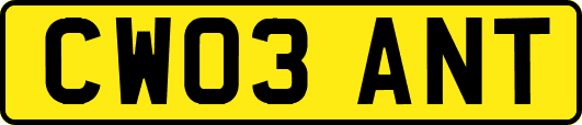 CW03ANT