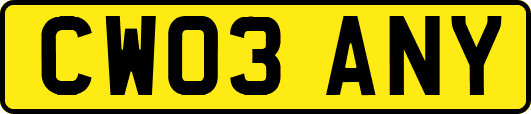 CW03ANY