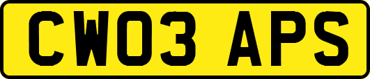 CW03APS