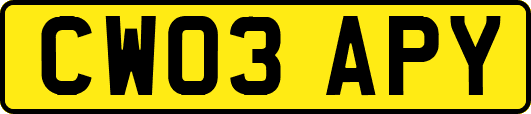CW03APY