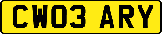 CW03ARY