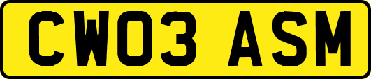 CW03ASM