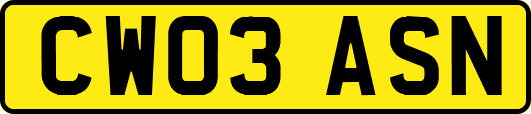 CW03ASN