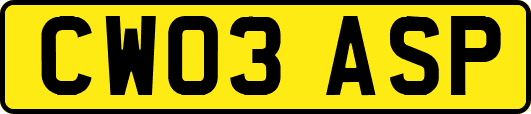 CW03ASP
