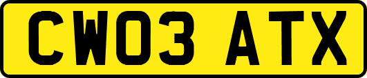 CW03ATX