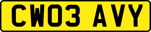 CW03AVY