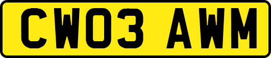 CW03AWM