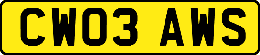 CW03AWS