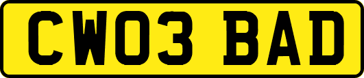 CW03BAD