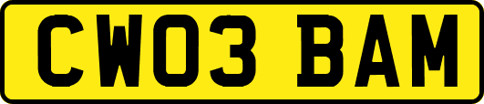 CW03BAM