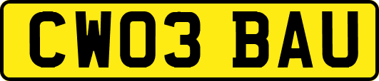 CW03BAU
