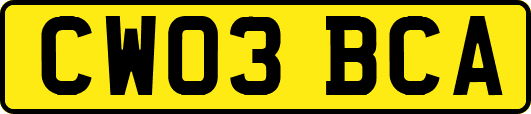 CW03BCA