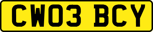 CW03BCY
