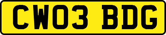 CW03BDG