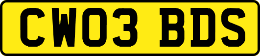 CW03BDS