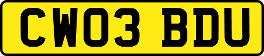 CW03BDU