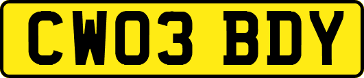 CW03BDY